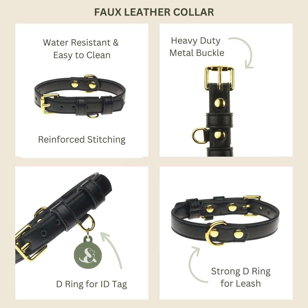 Black Dog Collar