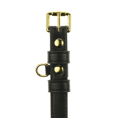 Black Dog Collar
