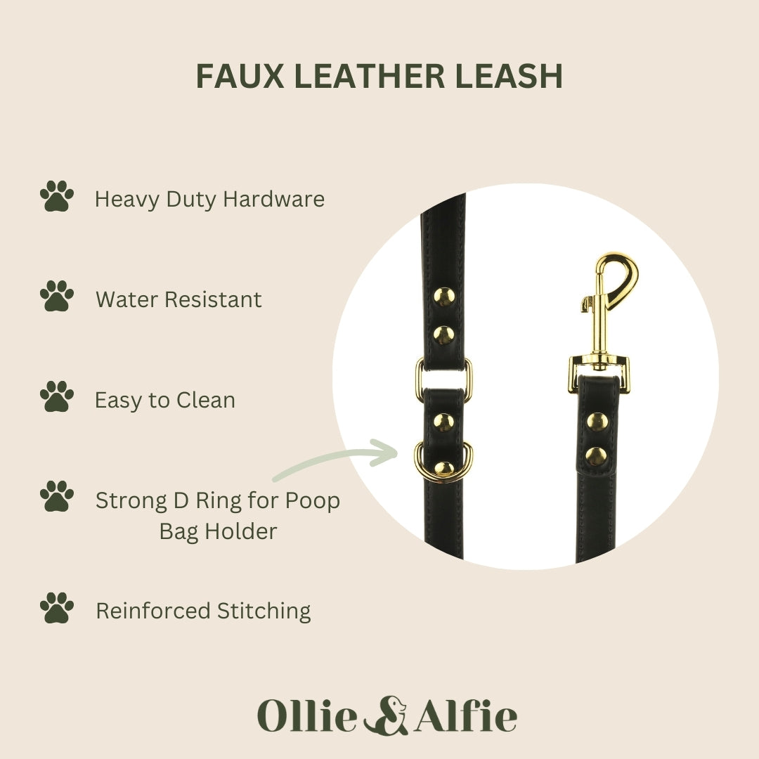 Black Dog Leash