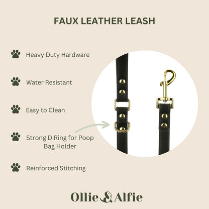 Black Dog Leash