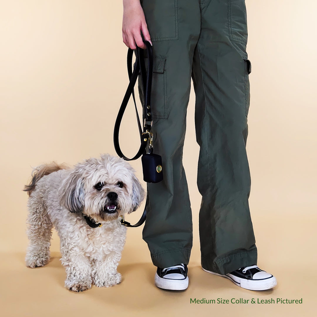 Black Dog Leash