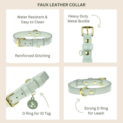 Mint Dog Collar