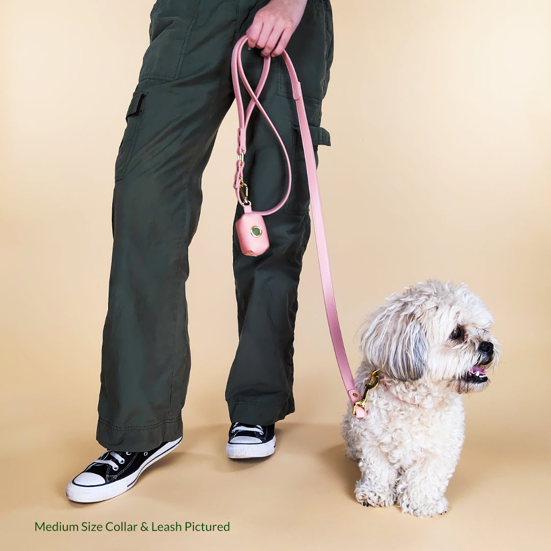 Pink Dog Leash